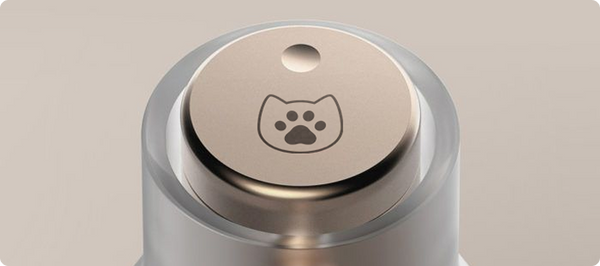 Laser-engraved cat design